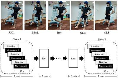 Tai Chi and Yoga for Improving Balance on One Leg: A Neuroimaging and Biomechanics Study